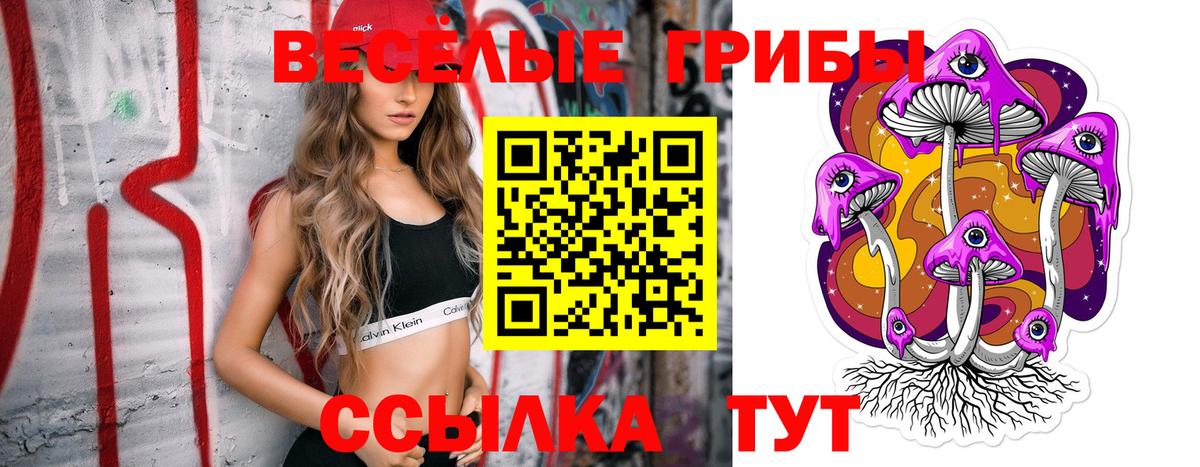 Псилоцибиновые грибы GOLDEN TEACHER  где купить наркоту  Каменка  Вход с VPN 